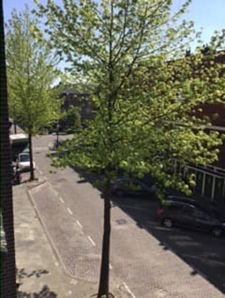 Transvaalstraat 138B