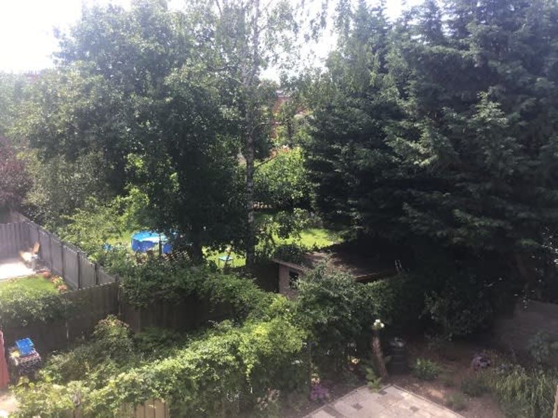 Prinses Irenestraat 39