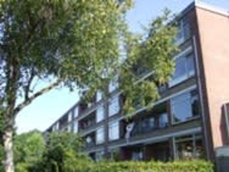 Treubstraat 25, 6702 BA Wageningen, Nederland