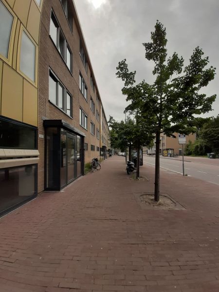 Martin Luther Kinglaan 11, 2037 RK Haarlem, Nederland