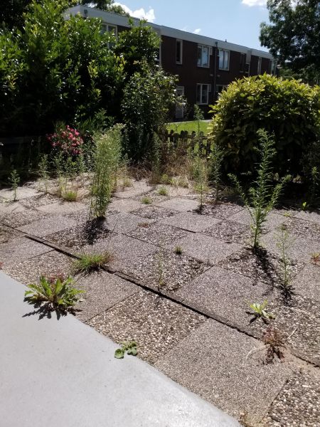 Schuitenhuisstraat 60