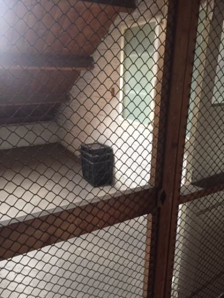 Lange Nieuwstraat 170