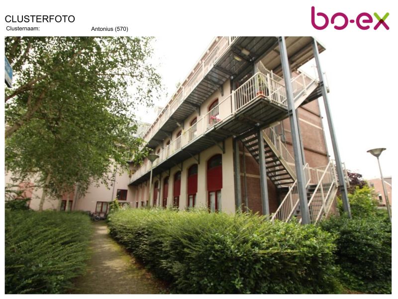 Antoniushof 265, 3583 ZL Utrecht, Nederland