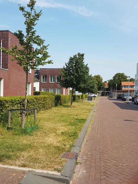 Burg Jansoniushof 113