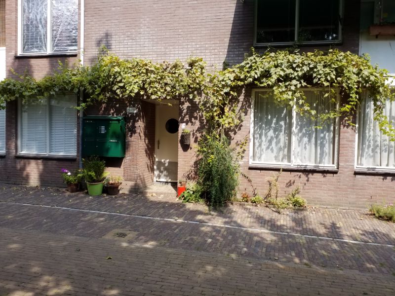 Zonnesteeg 11, 2011 ER Haarlem, Nederland