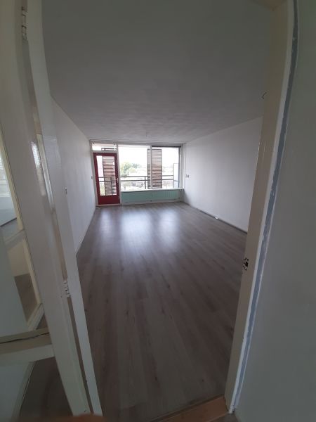 Thomas Morestraat 197