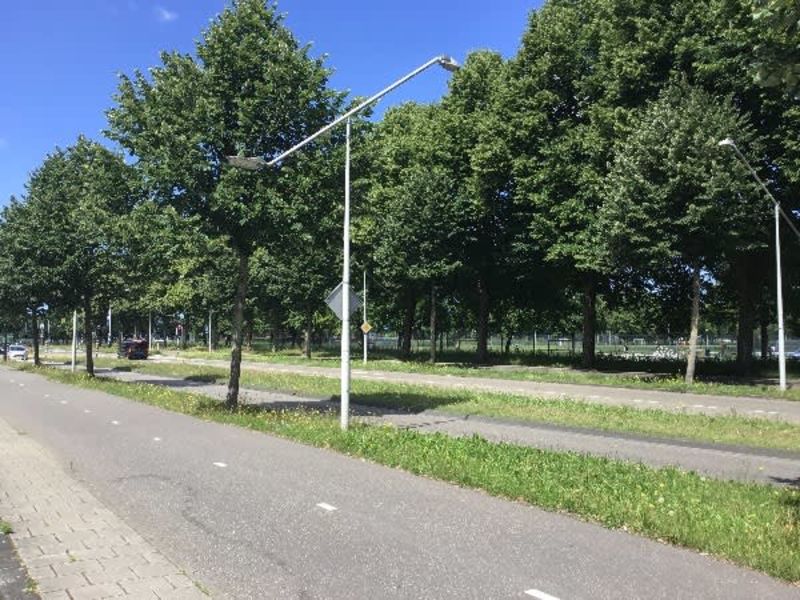 President Allendelaan 491