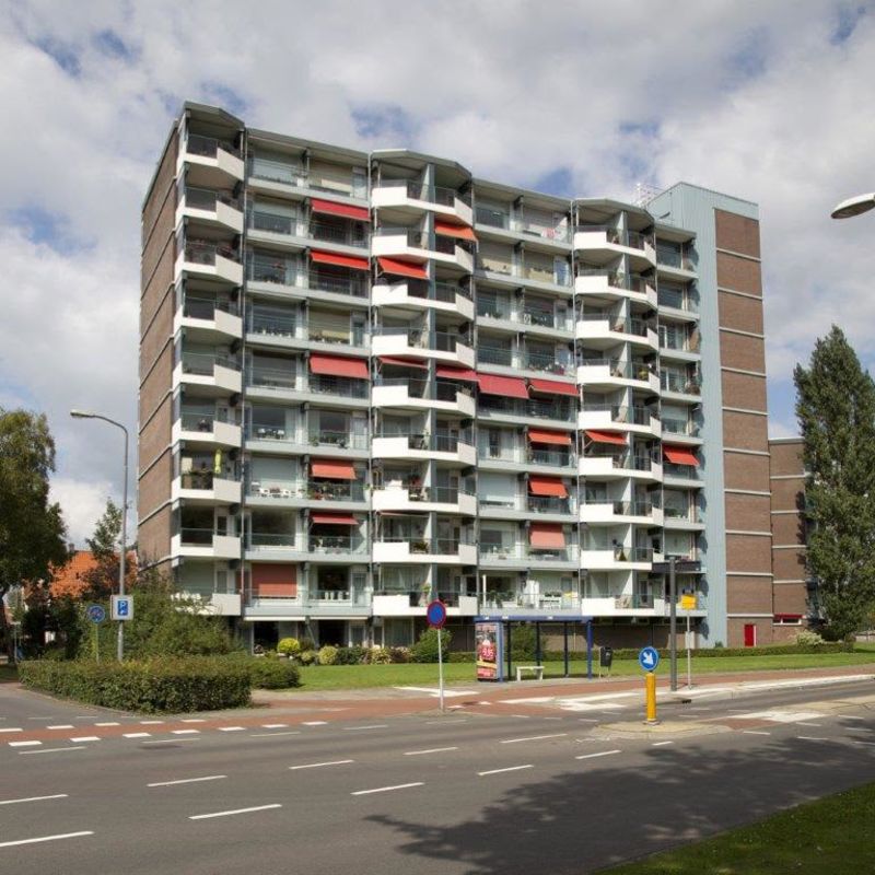 Morgenster 178, 3901 RR Veenendaal, Nederland