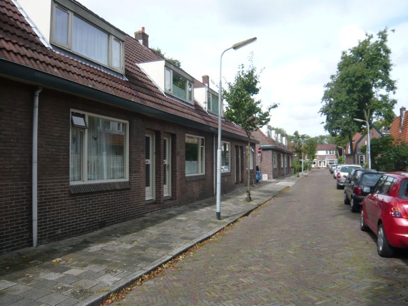 Tulpstraat 33