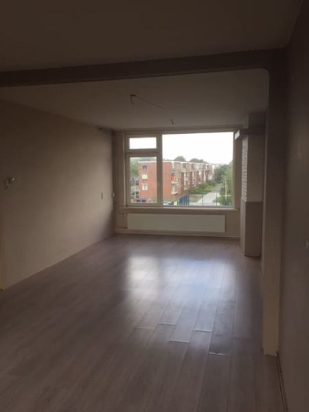 Pleiadenplantsoen 24