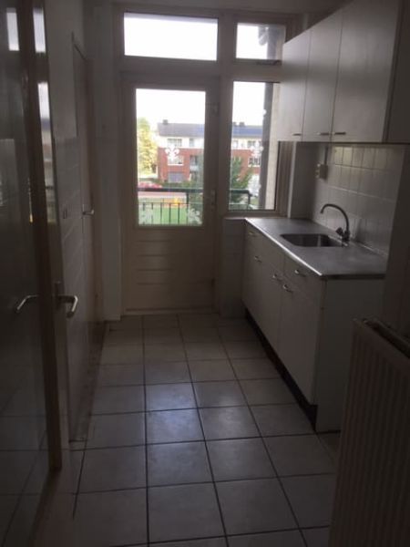 Pleiadenplantsoen 24