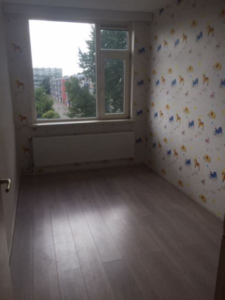 Pleiadenplantsoen 24