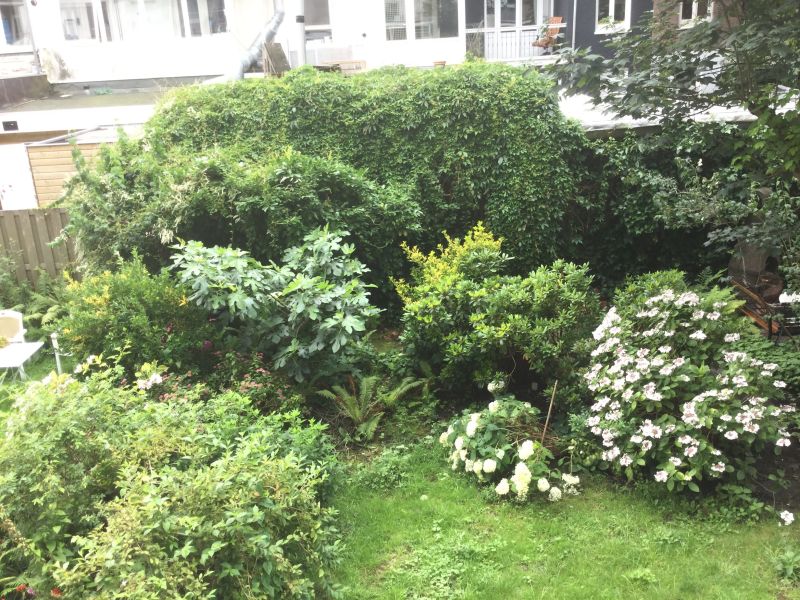 Eerste Jan van der Heijdenstraat 68I