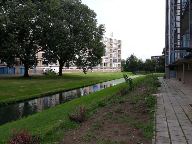 Tesselschadestraat 84