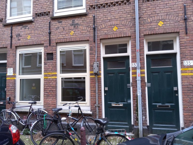 Goudsbloemstraat 133