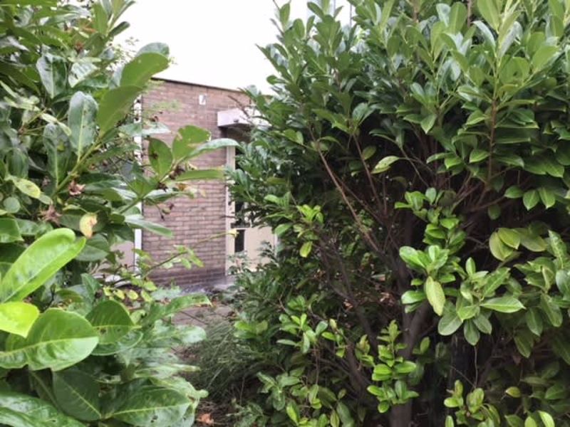 Frederik van Dorpstraat 57