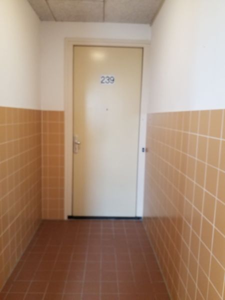 Biesheuvelstraat 239