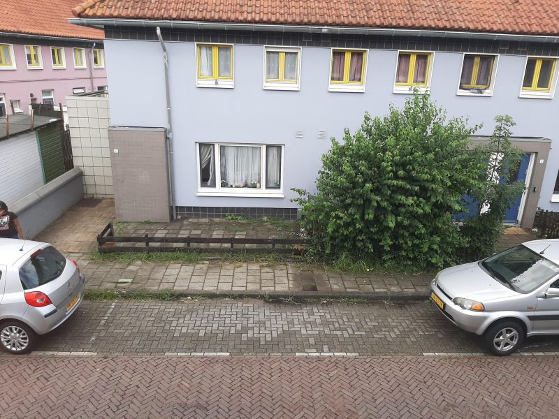 Campanulastraat 13, 1032 XP Amsterdam, Nederland