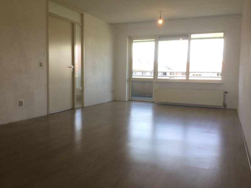 Gerard Ter Borchhage 84