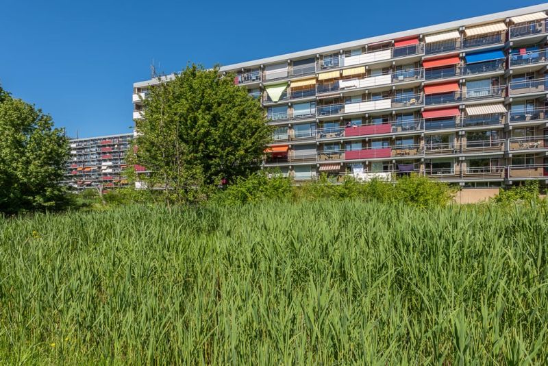 Ridder van Catsweg 425