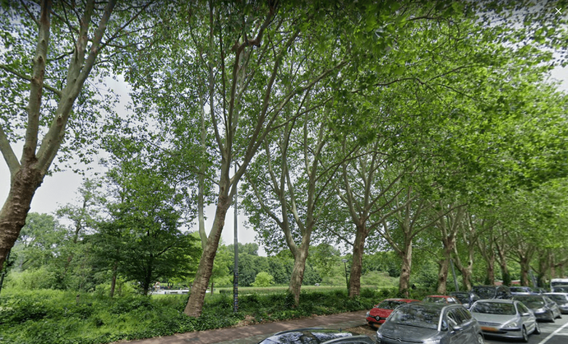 Jan van Galenstraat 261