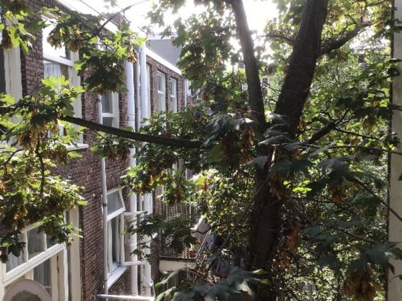 Tweede Helmersstraat 103