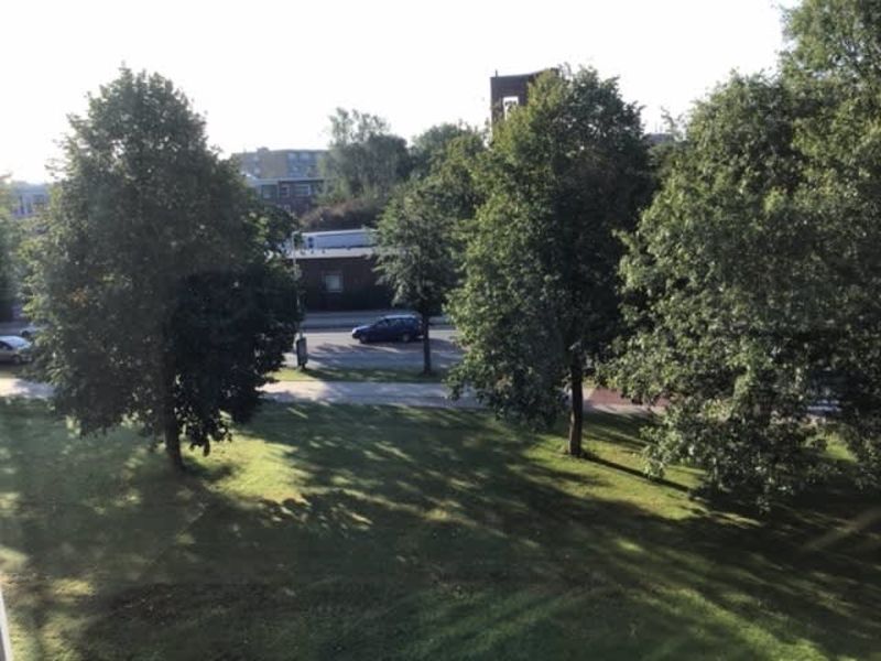 Zilverschoonstraat 38