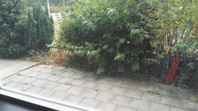 P.S. Gerbrandystraat 125