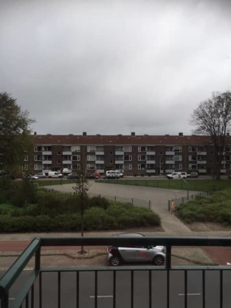 Pleiadenplantsoen 140