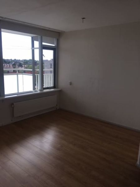 Constantijn Huygenslaan 309