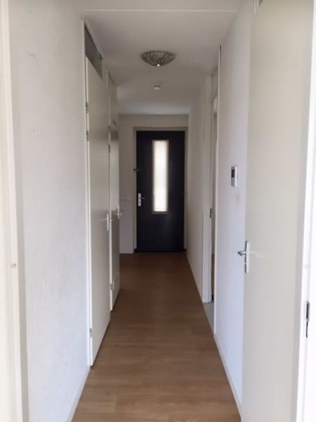 Pleiadenplantsoen 47