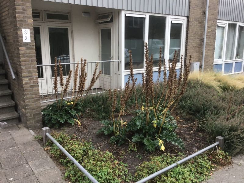 La Fontainestraat 3, 3533 CB Utrecht, Nederland