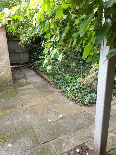 Jac. P. Thijsseplein 37