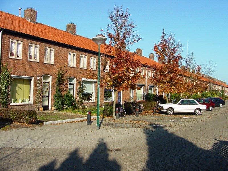 Larikslaan 58, 3904 LC Veenendaal, Nederland