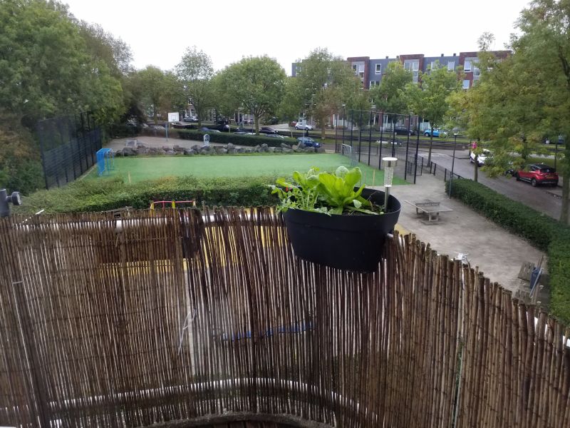 Haarlemmermeerstraat 21