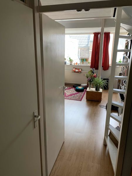 's-Gravesandestraat 39