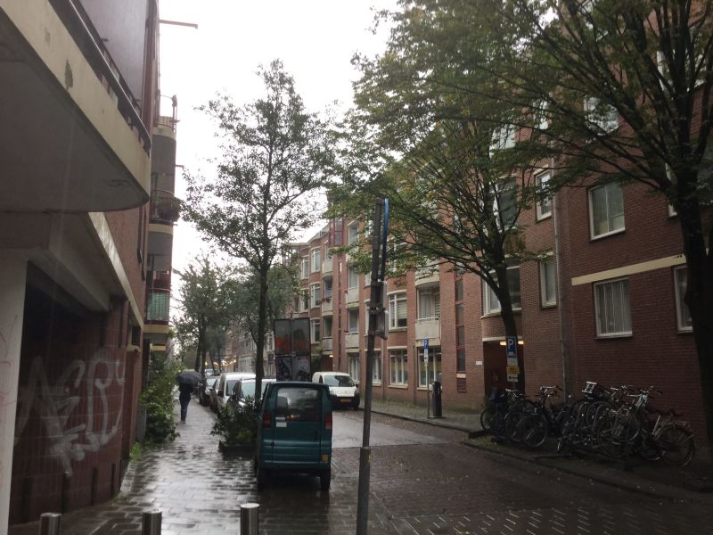 Govert Flinckstraat 39D, 1072 EC Amsterdam, Nederland