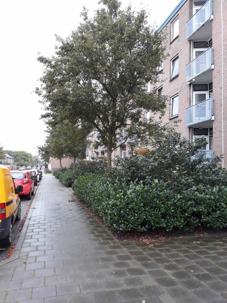 De Savornin Lohmanweg 72D