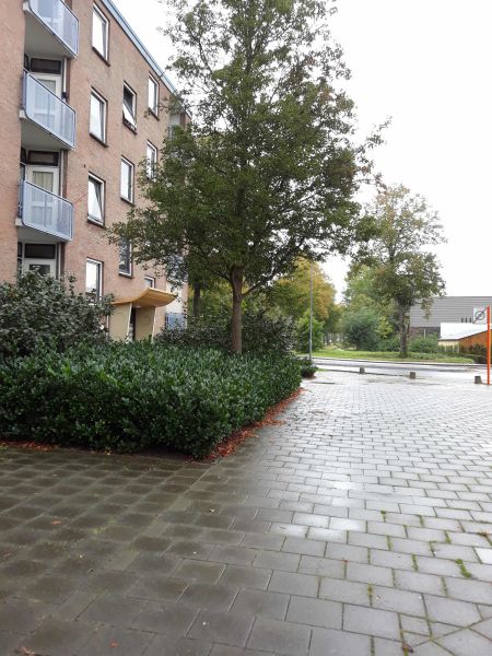 De Savornin Lohmanweg 72D