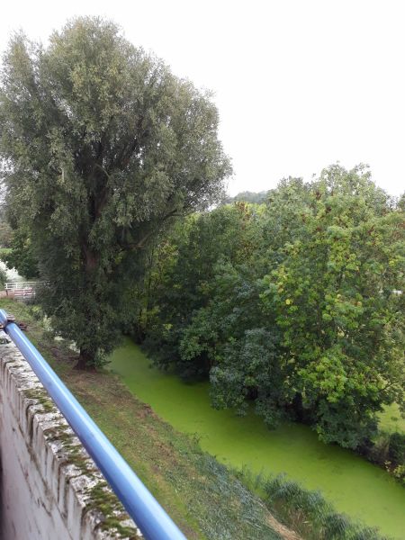 De Savornin Lohmanweg 72D