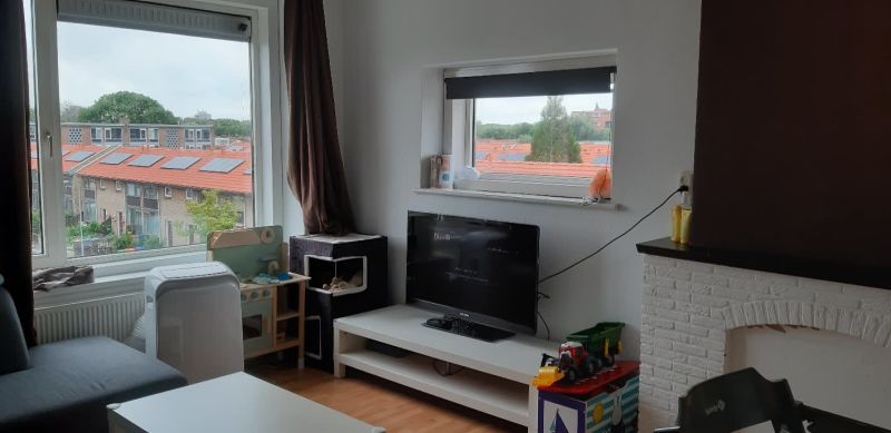 Van Ruisdaelstraat 124