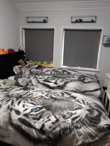 Willem de Zwijgerlaan 22