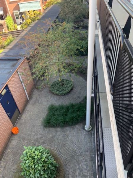 Van Beresteynstraat 31