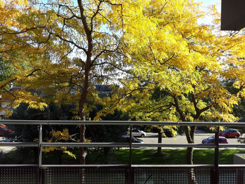 P.S. Gerbrandystraat 53