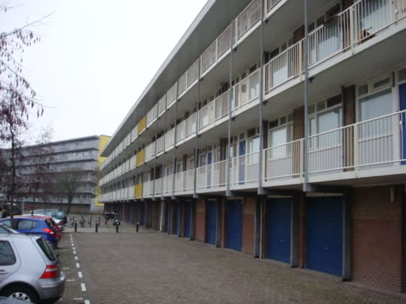 Wollegrasstraat 70