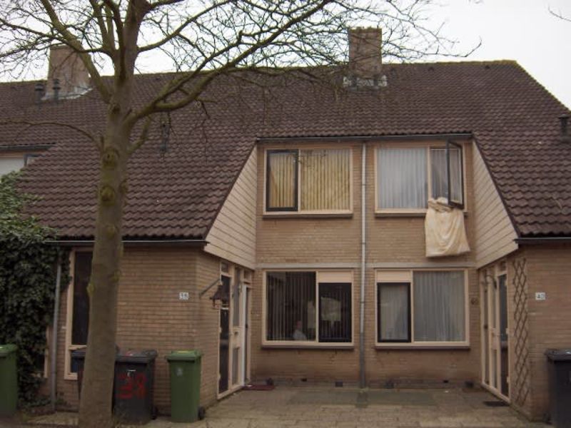 Molengraaf 38, 4133 CN Vianen, Nederland