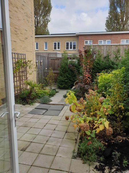 Hof van Egmond 41, 2033 MD Haarlem, Nederland