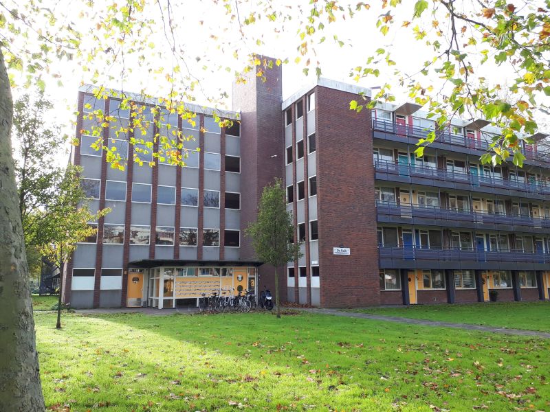 Koekoeksbloemweg 33, 1508 BG Zaandam, Nederland