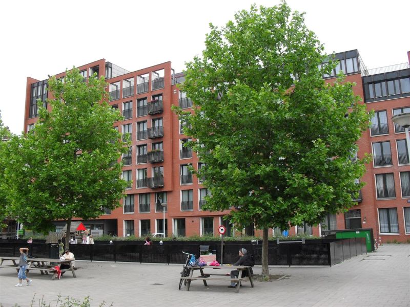 Servaes Noutsstraat 95, 1074 ED Amsterdam, Nederland