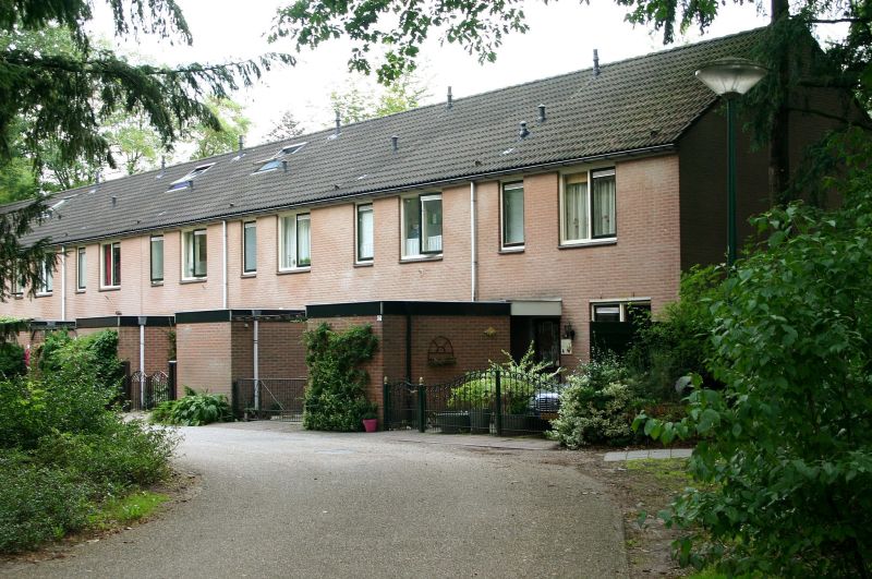 Noorderplantsoen 11, 3971 NH Driebergen-Rijsenburg, Nederland